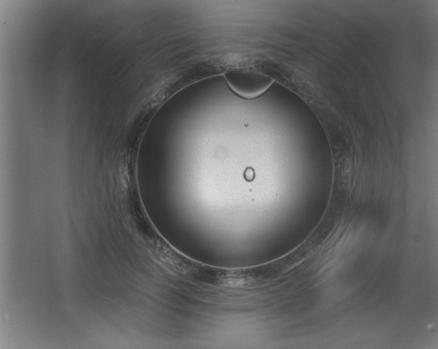 X0000068260746200604281525