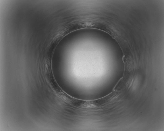 X0000068260747200604281525