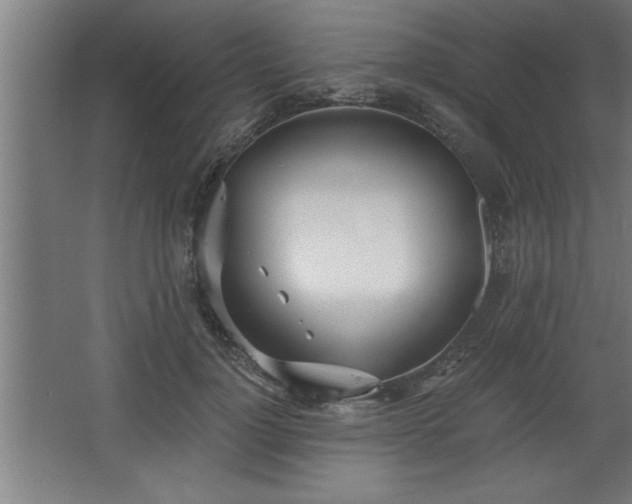 X0000068260748200604281525