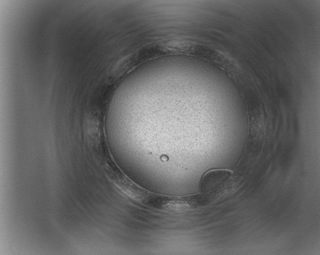 X0000068260749200604281525