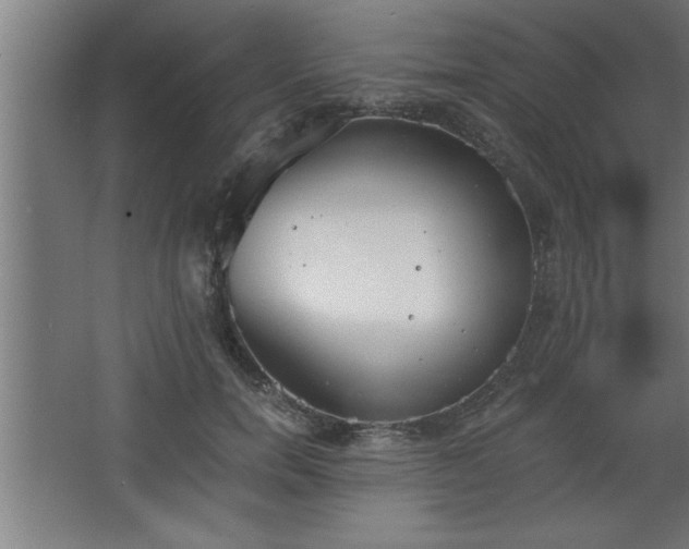 X0000068260750200604281525