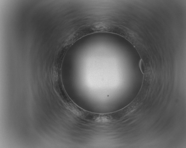 X0000068260751200604281525