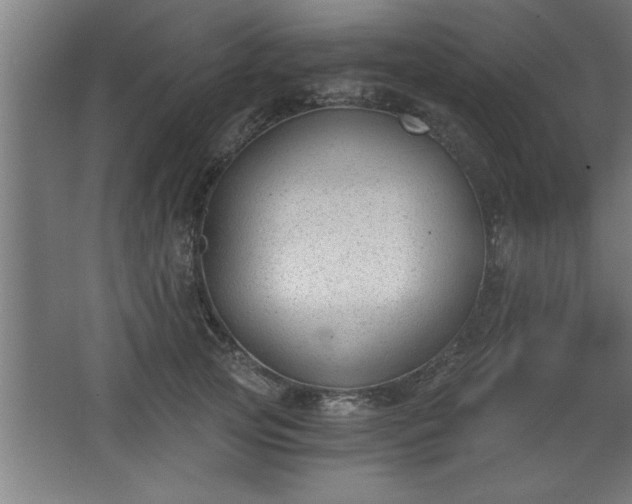 X0000068260753200604281525