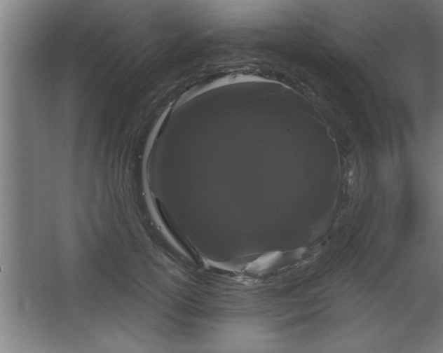 X0000068260754200604281525