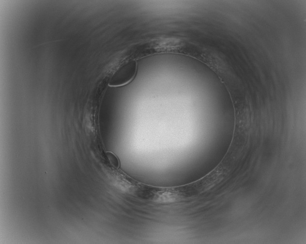 X0000068260755200604281525