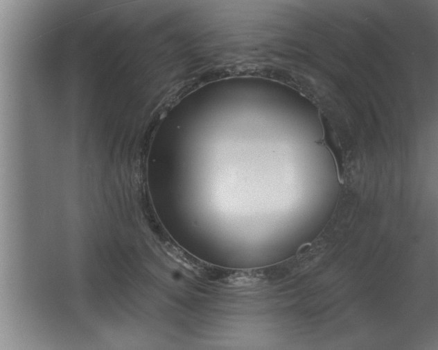 X0000068260756200604281525