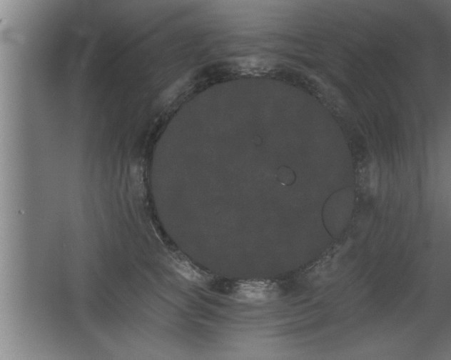 X0000068260757200604281525