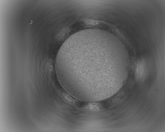 X0000068260758200604281525