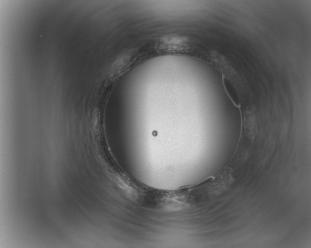 X0000068260760200604281525