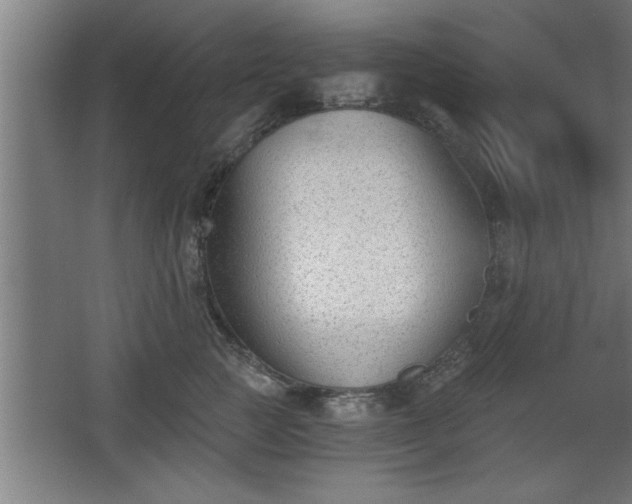 X0000068260761200604281525