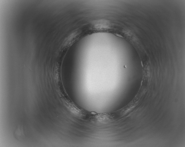 X0000068260762200604281525