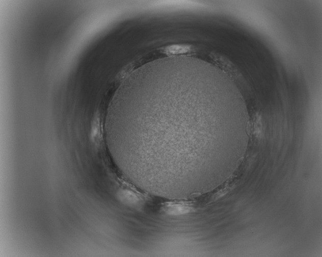 X0000068260763200604281525