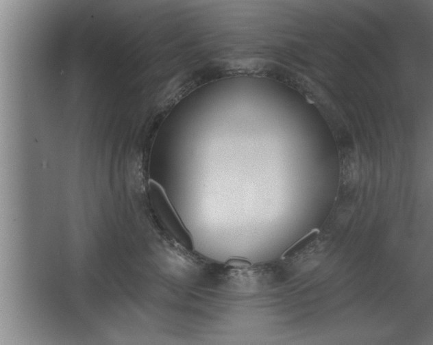 X0000068260764200604281525