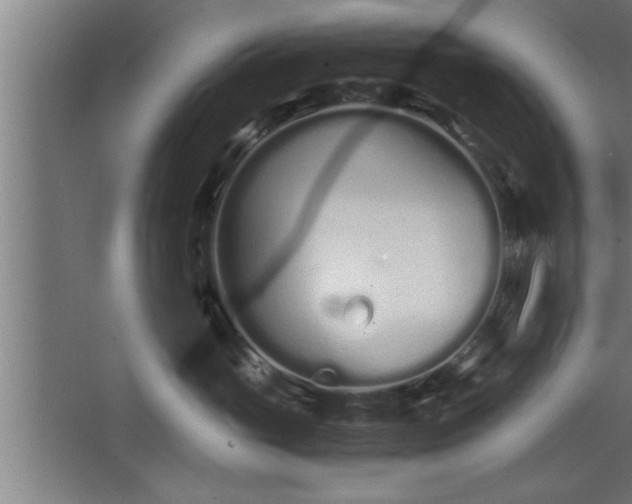 X0000068260765200604281525