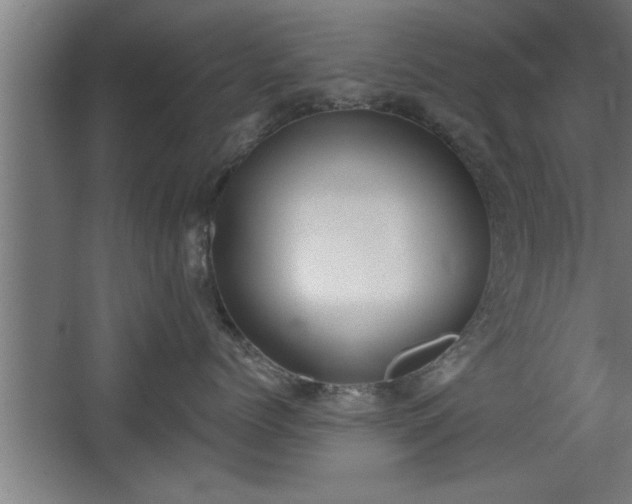 X0000068260768200604281525