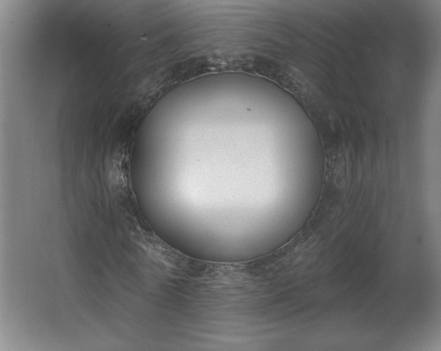 X0000068260770200604281525