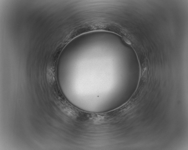 X0000068260772200604281525