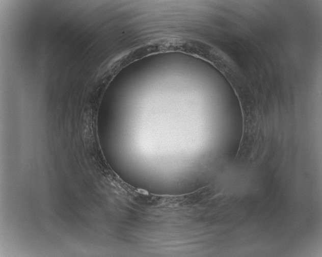 X0000068260773200604281525