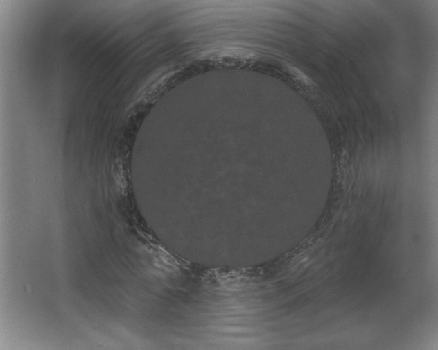 X0000068260774200604281525