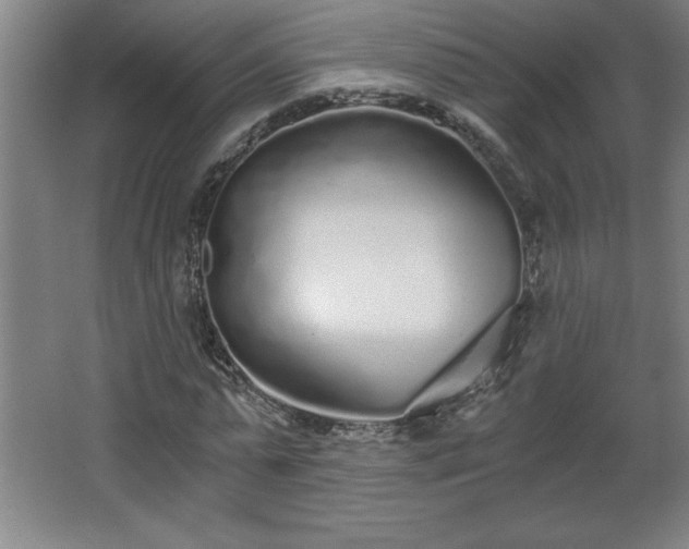 X0000068260775200604281525