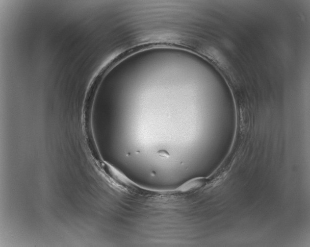 X0000068260780200604281524