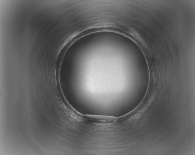 X0000068260781200604281524