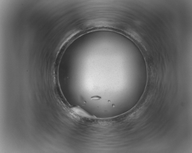 X0000068260782200604281524