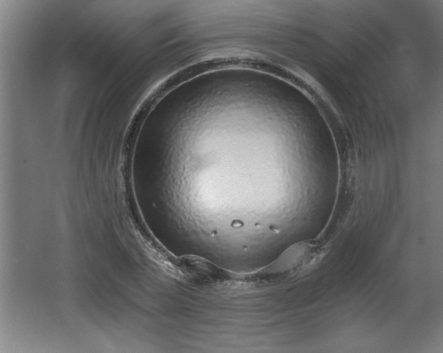 X0000068260783200604281524