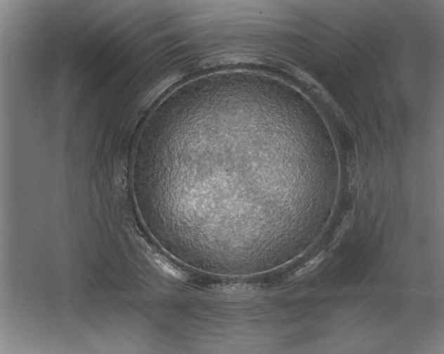 X0000068260785200604281524