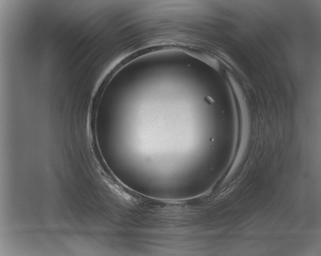 X0000068260788200604281524