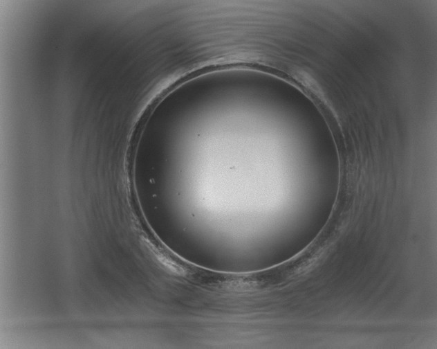 X0000068260789200604281524