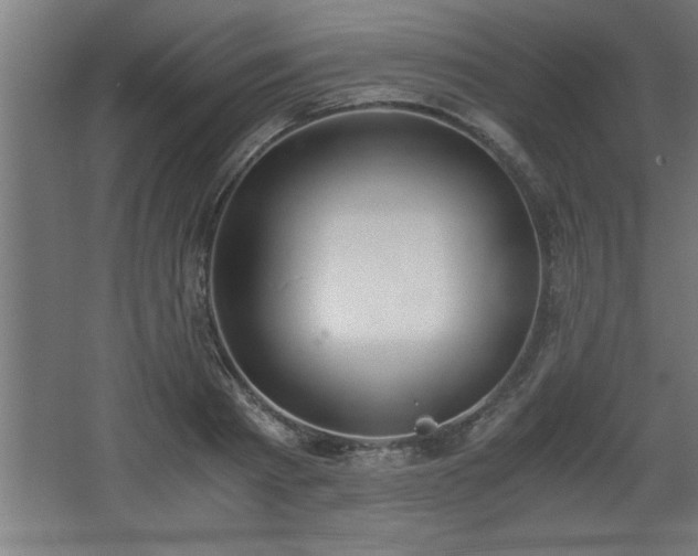 X0000068260793200604281524