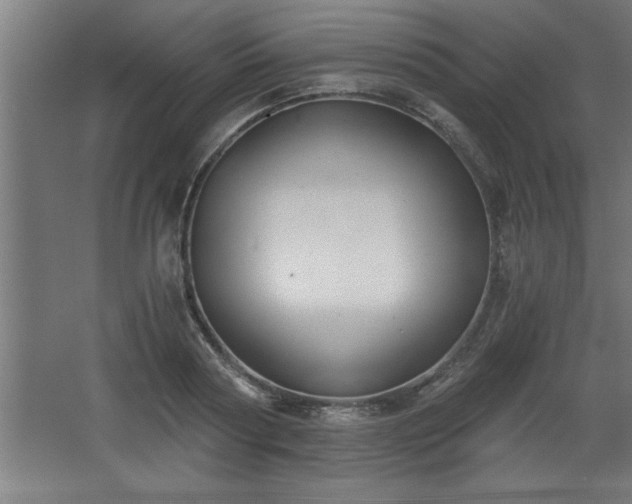 X0000068260794200604281524