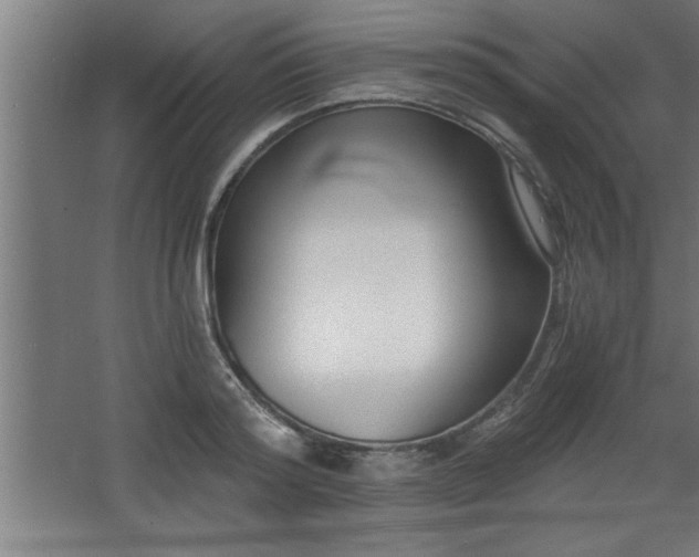 X0000068260796200604281524