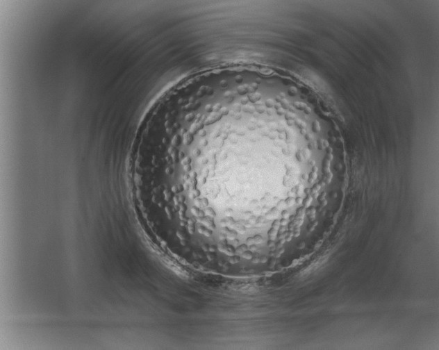 X0000068260798200604281524