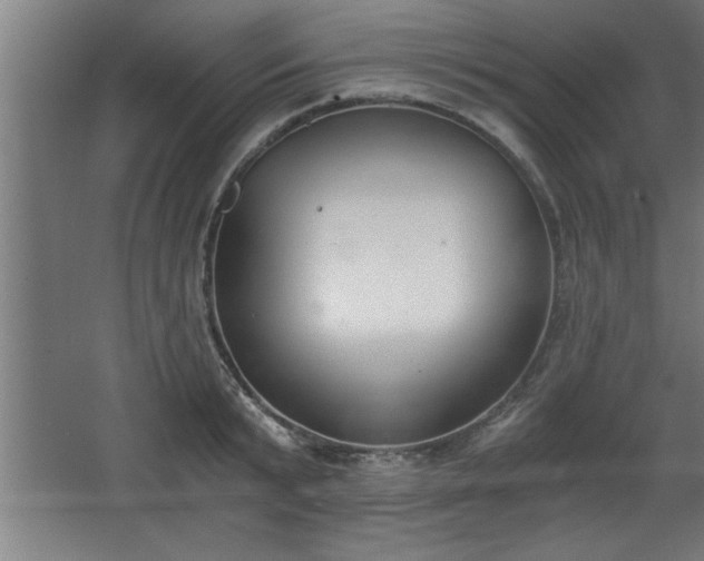 X0000068260799200604281524