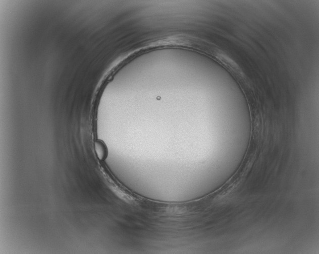 X0000068260800200604281524