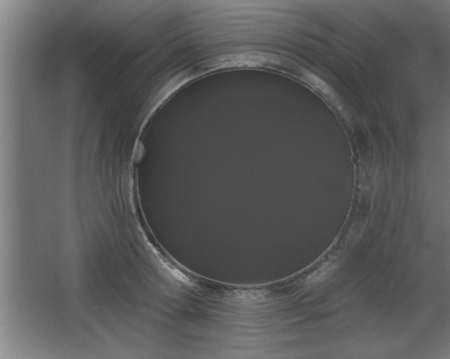 X0000068260802200604281524