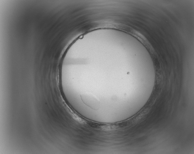 X0000068260804200604281524