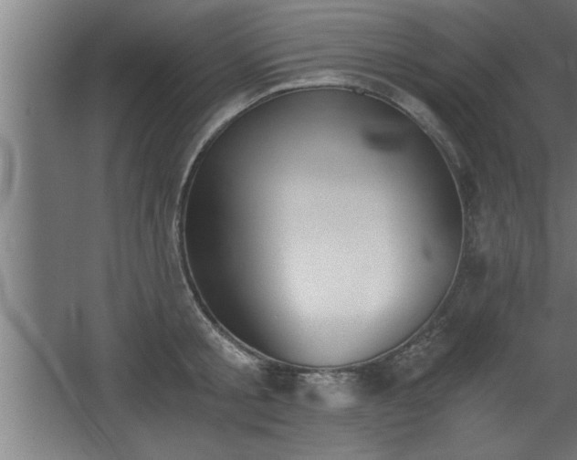 X0000068260805200604281524