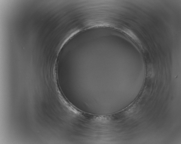 X0000068260806200604281524