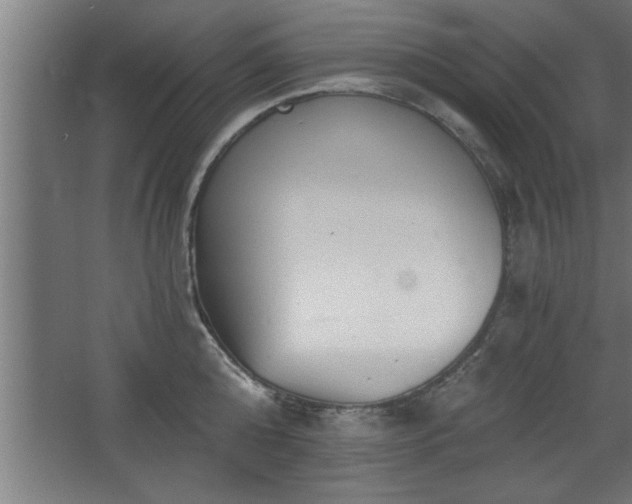 X0000068260808200604281524