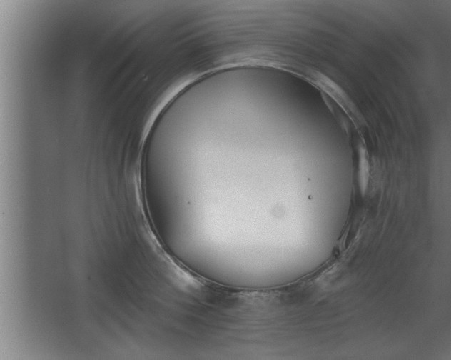 X0000068260812200604281524