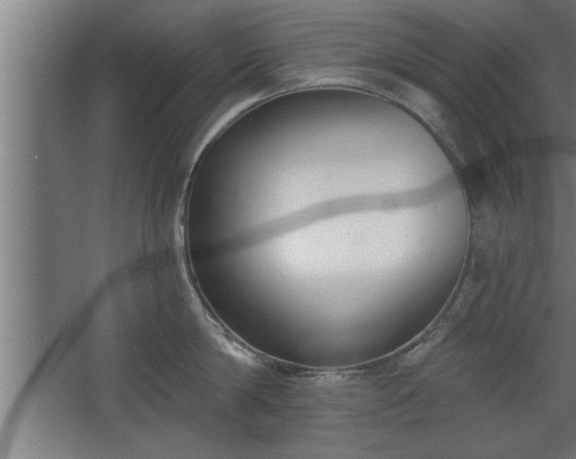 X0000068260814200604281524