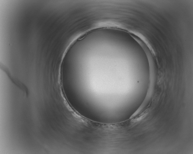 X0000068260815200604281524