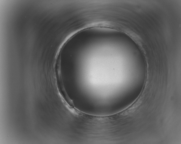 X0000068260816200604281524