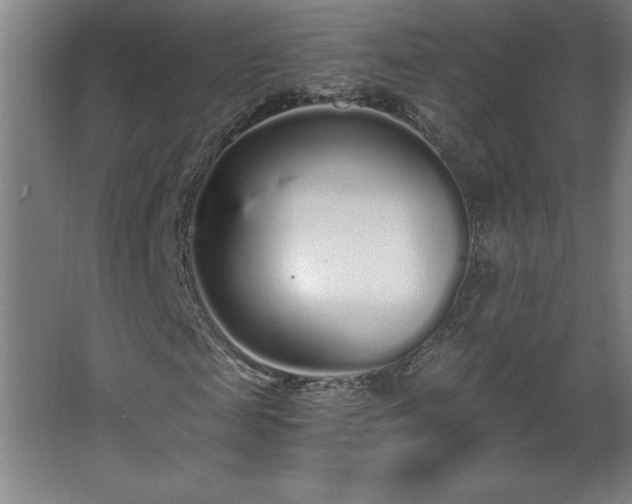 X0000068260817200604281523