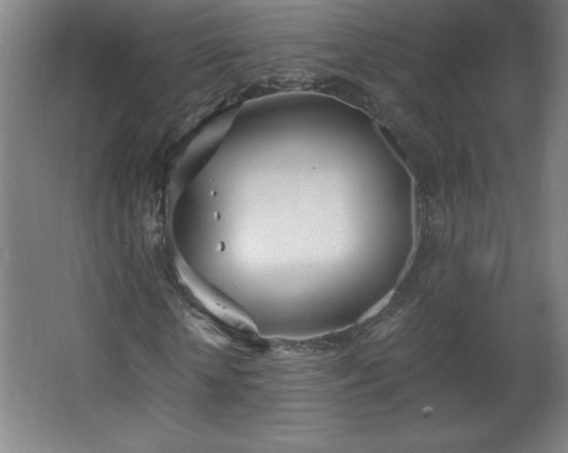 X0000068260818200604281523