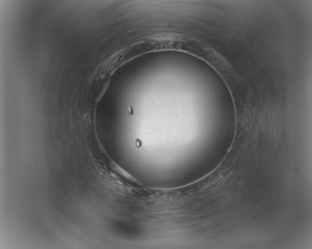 X0000068260821200604281523