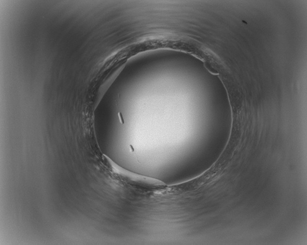 X0000068260822200604281523